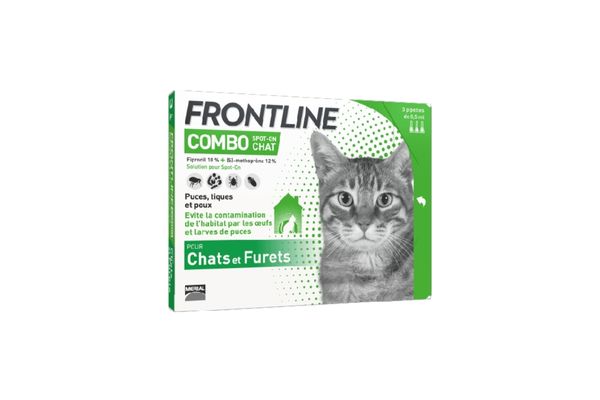 FRONTLINE CHAT
